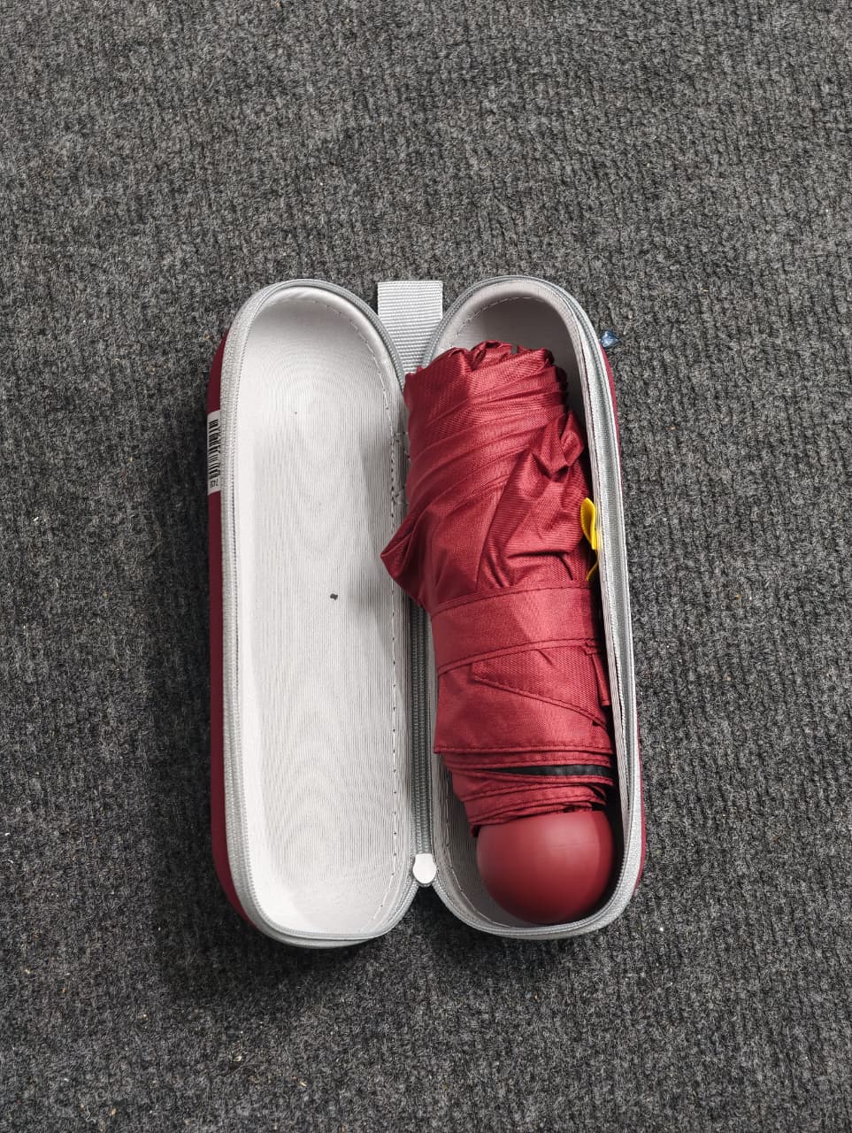 Portable umbrella