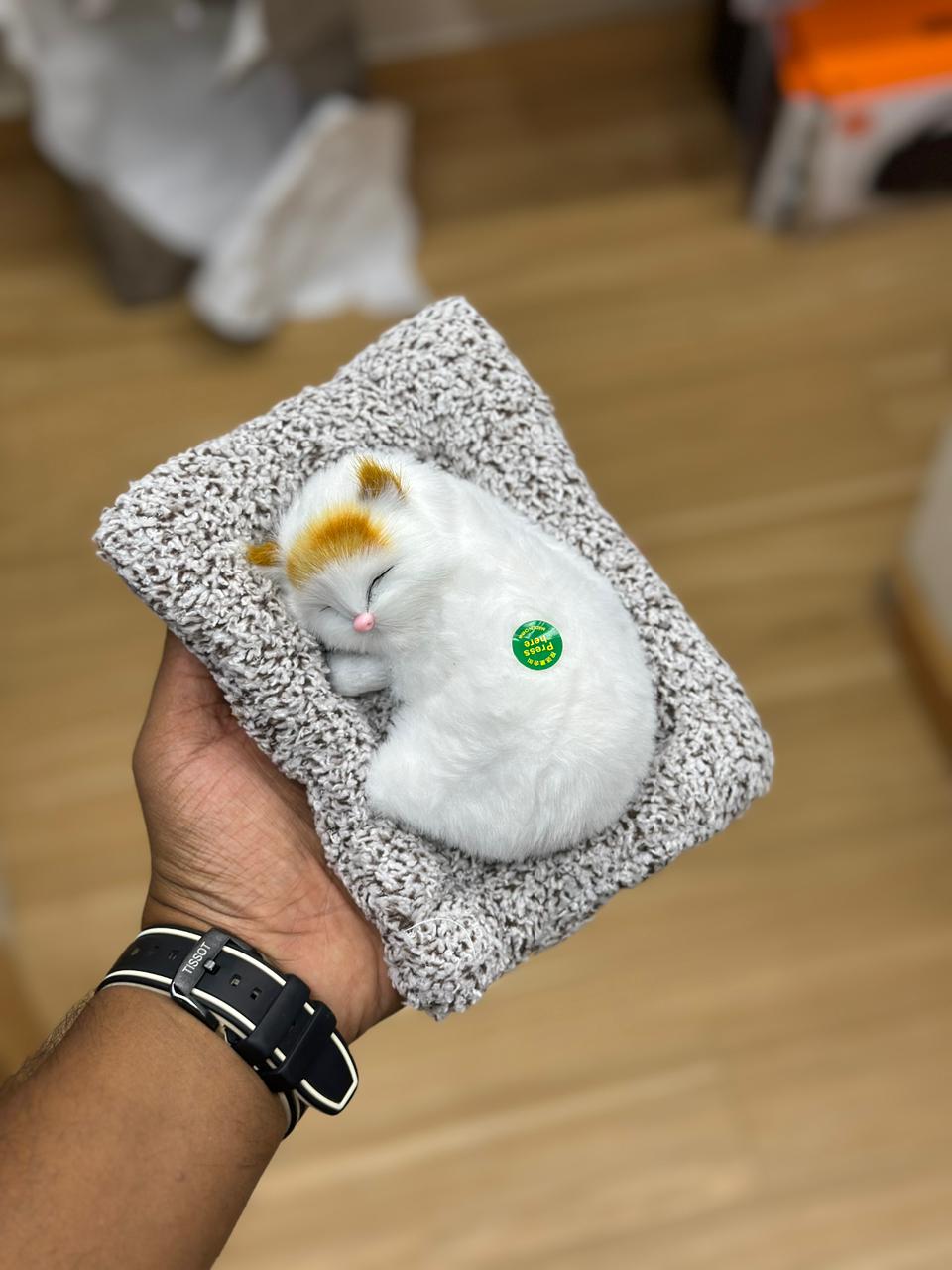 🐱 Sleeping Kitten Plush 🐱