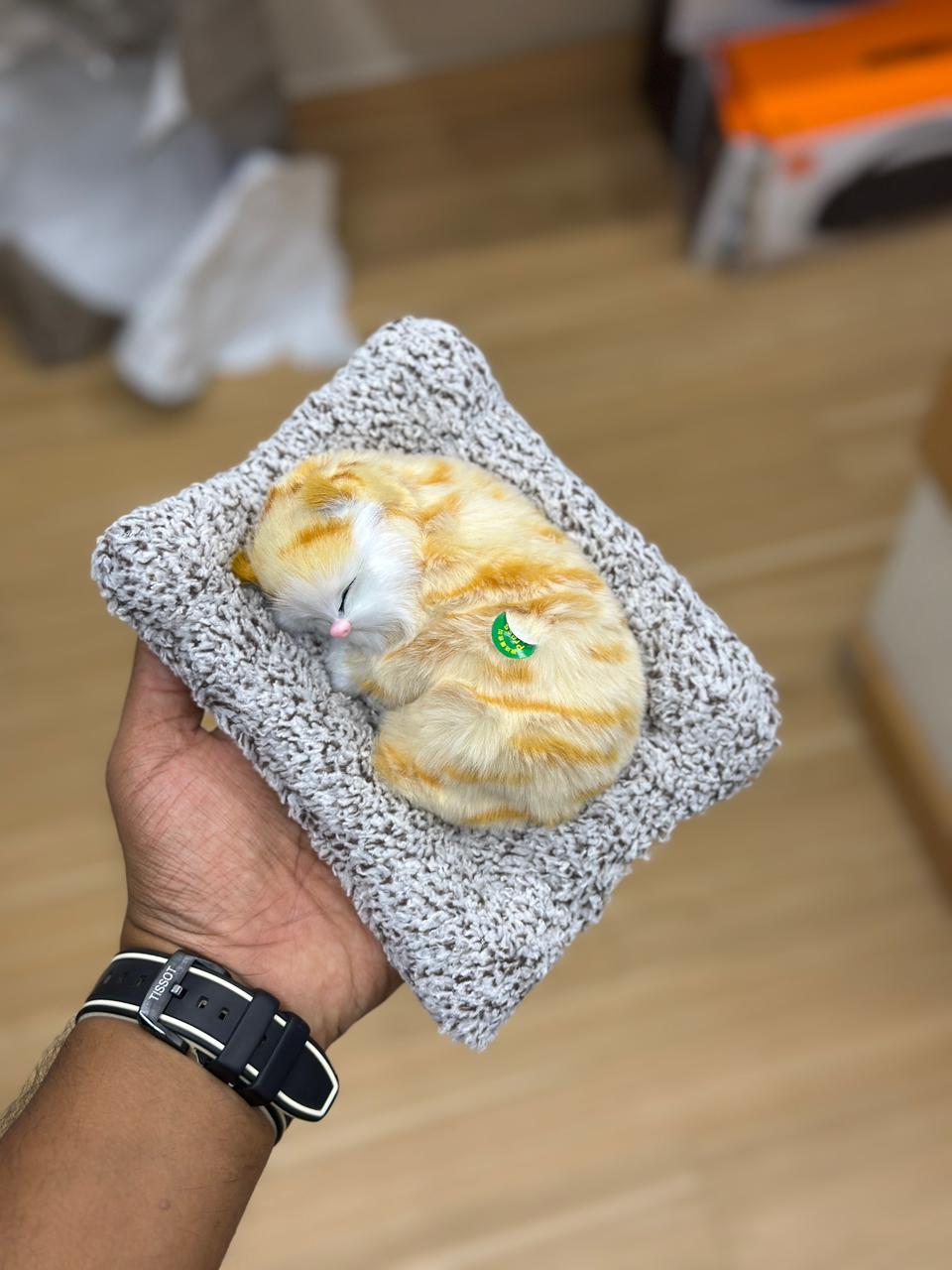 🐱 Sleeping Kitten Plush 🐱
