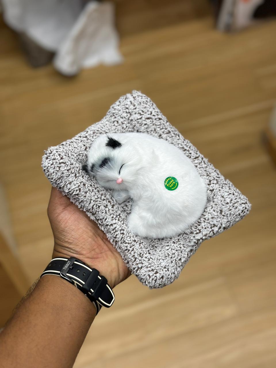 🐱 Sleeping Kitten Plush 🐱