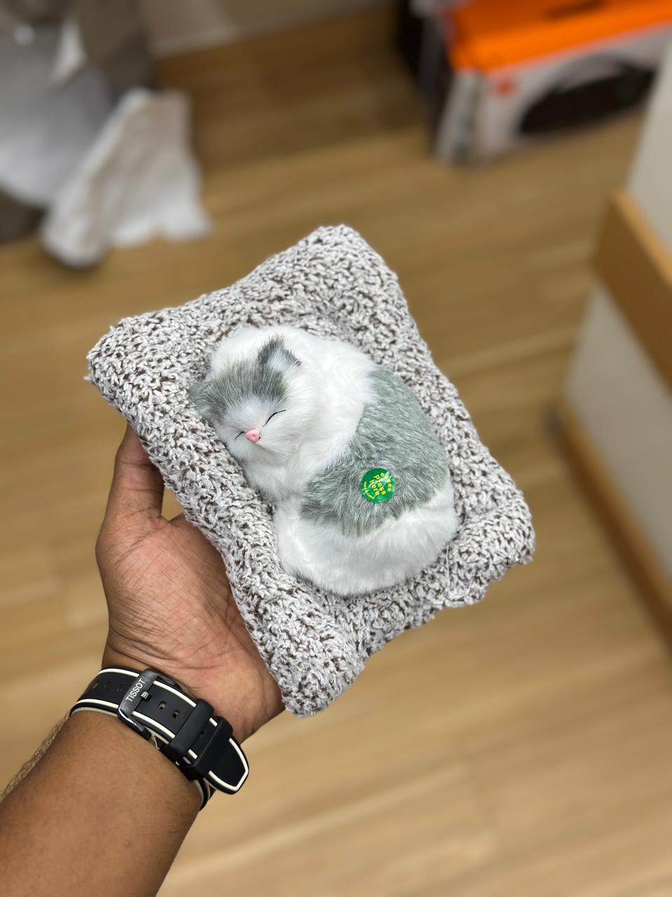 🐱 Sleeping Kitten Plush 🐱