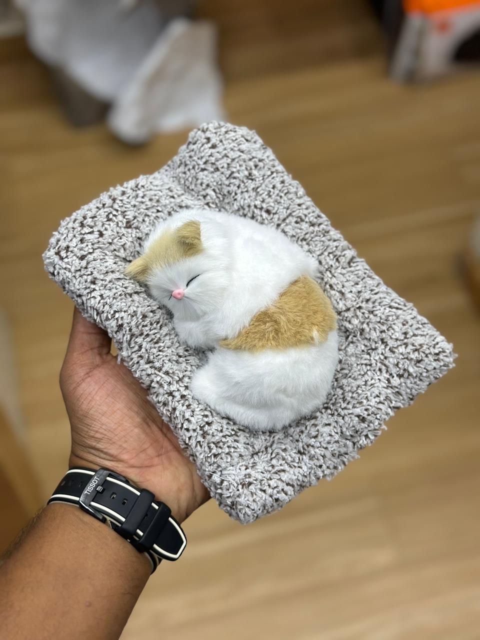 🐱 Sleeping Kitten Plush 🐱