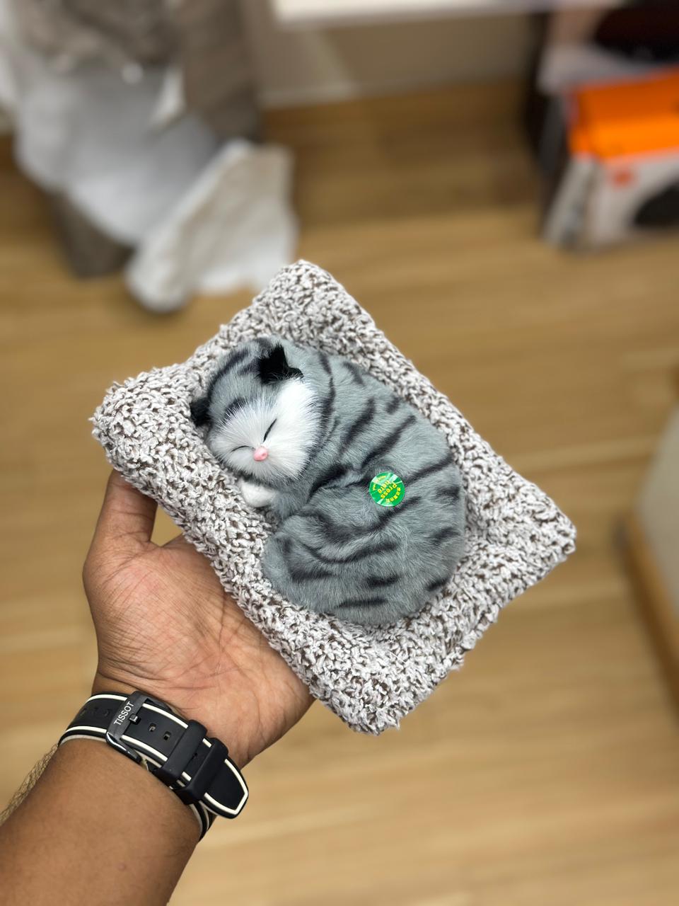 🐱 Sleeping Kitten Plush 🐱
